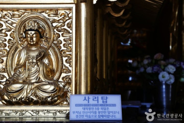 구덕문화공원 여행 추천 - 메고지고