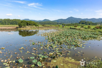옴천사(강진) 여행 추천 - 메고지고