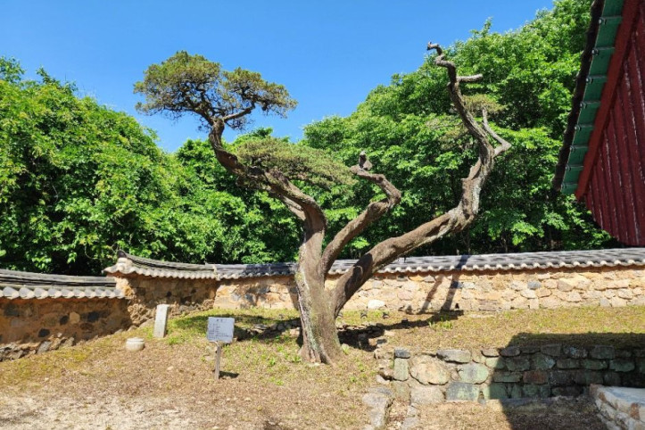 파주향교 여행 추천 - 메고지고