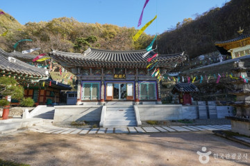 창원마법의정원 여행 추천 - 메고지고