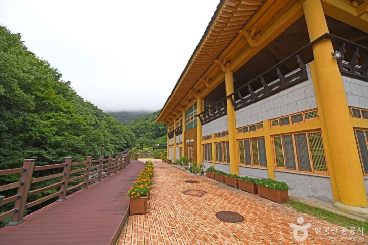 거금생태숲 여행 추천 - 메고지고