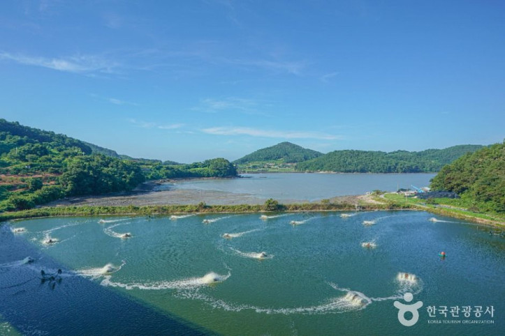 외나로도 여행 추천 - 메고지고