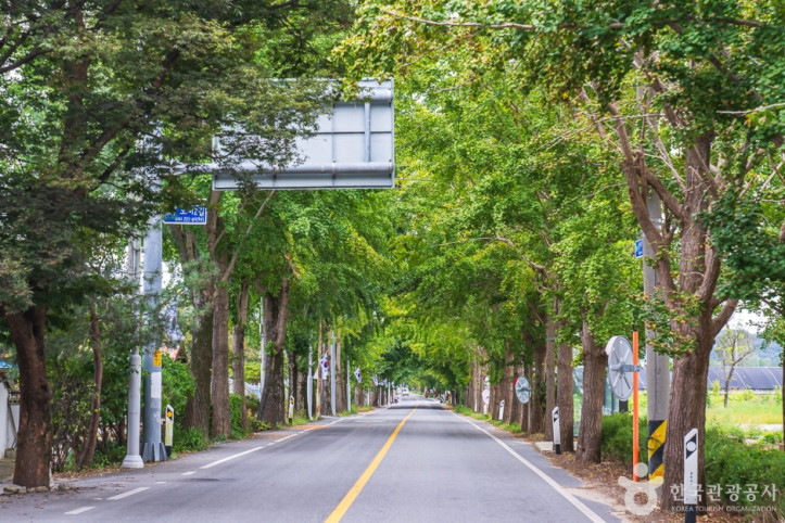 중장리농촌체험휴양마을 여행 추천 - 메고지고