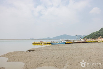어류정항 여행 추천 - 메고지고