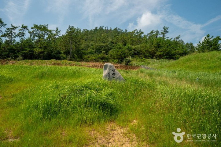 장산도 여행 추천 - 메고지고