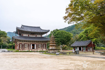 만수산자연휴양림 여행 추천 - 메고지고