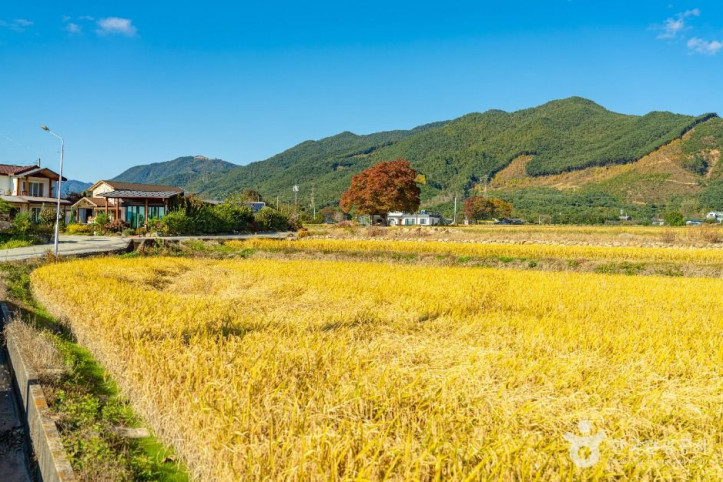 방광마을 여행 추천 - 메고지고