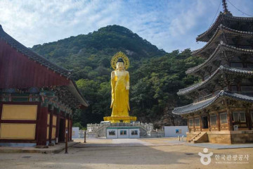 속리산 관광특구 여행 추천 - 메고지고
