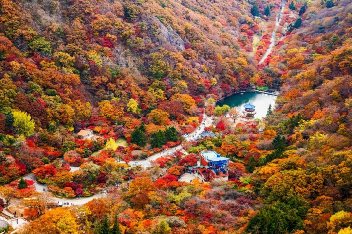 우화정(내장산) 여행 추천 - 메고지고
