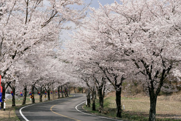 청양 칠갑사니마을 여행 추천 - 메고지고