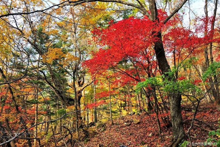 노추산 여행 추천 - 메고지고