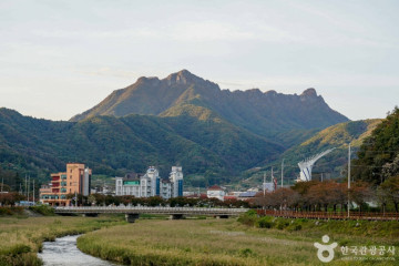 문경새재 반려동물 힐링센터 여행 추천 - 메고지고