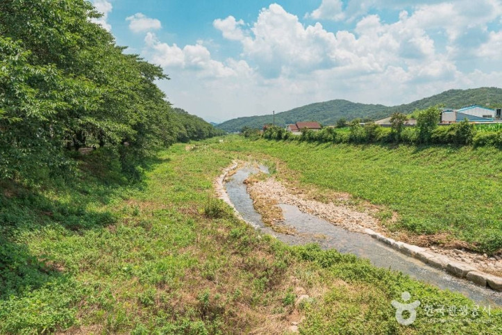 차리마을 여행 추천 - 메고지고