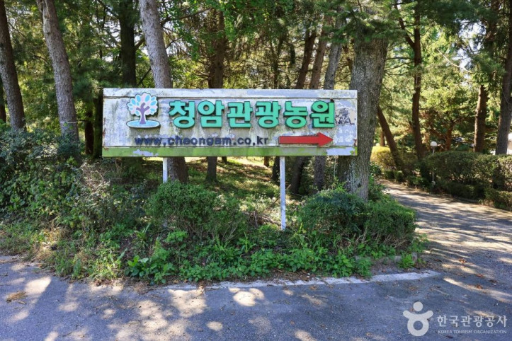 청암관광농원 여행 추천 - 메고지고