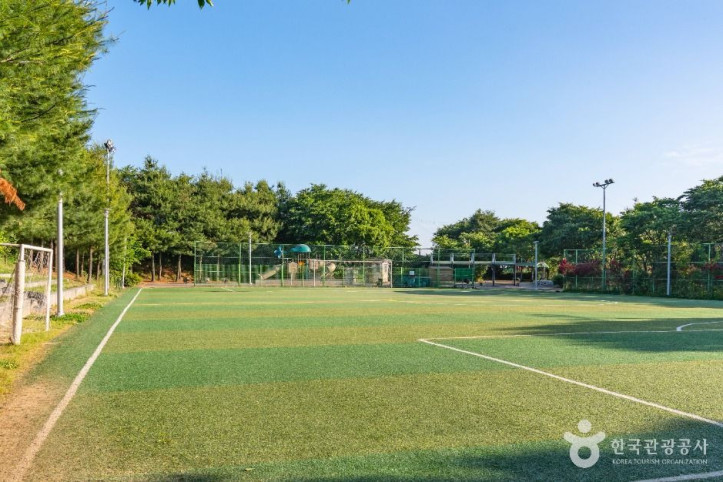 서탄금암체육공원 여행 추천 - 메고지고