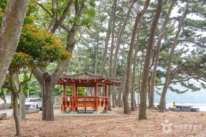 금장해수욕장 여행 추천 - 메고지고