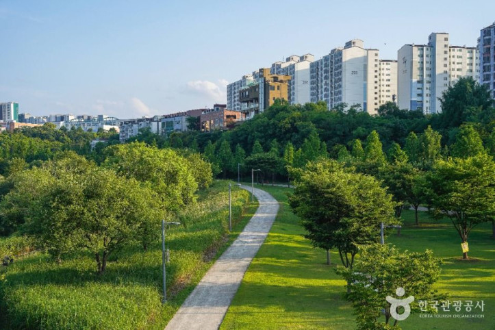 공항교강변공원 여행 추천 - 메고지고