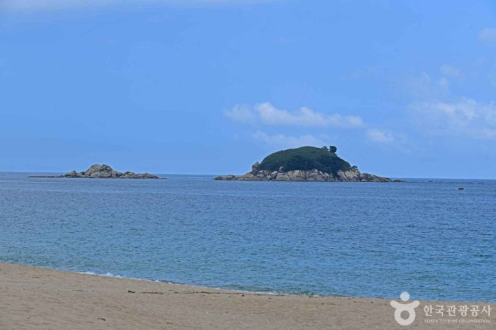 켄싱턴해변 여행 추천 - 메고지고