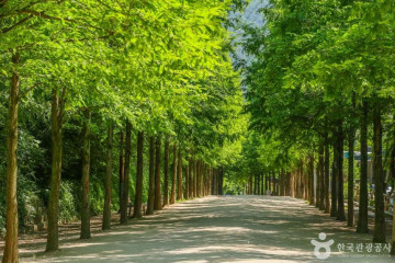고산골 여행 추천 - 메고지고