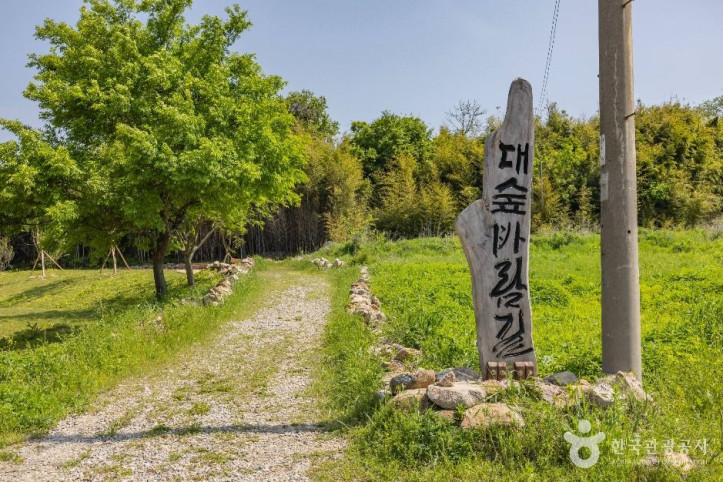 면천읍성 대숲바람길 여행 추천 - 메고지고