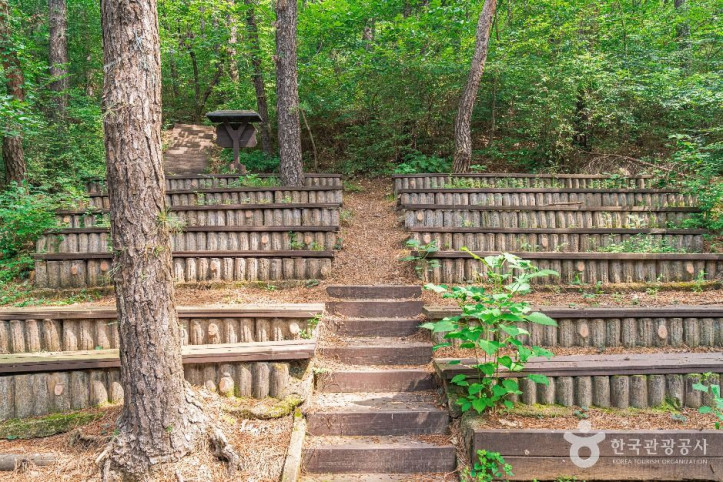 문수산산림욕장 여행 추천 - 메고지고