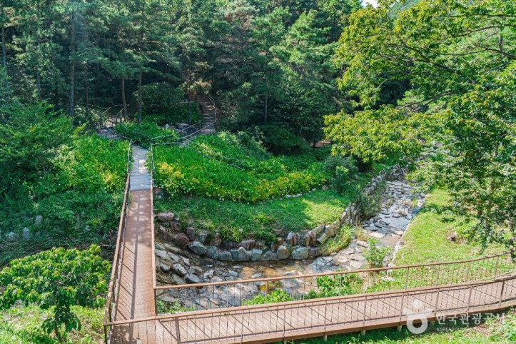 무안 물맞이 치유의 숲 여행 추천 - 메고지고
