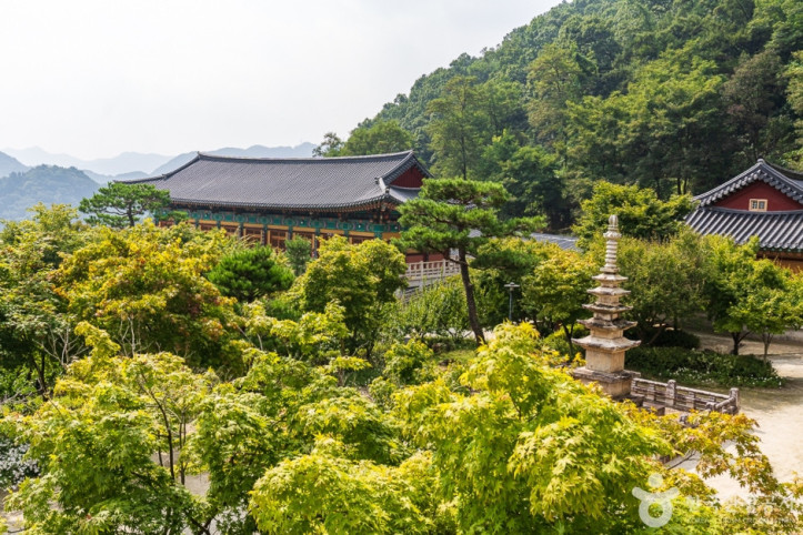 석종사(충주) 여행 추천 - 메고지고