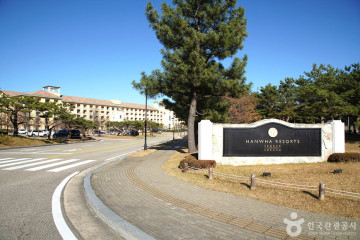 과자의성 여행 추천 - 메고지고