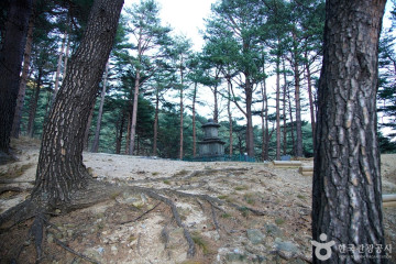 진전사 여행 추천 - 메고지고