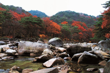 상선암 여행 추천 - 메고지고
