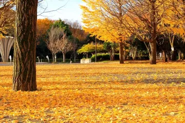 물레방아공원 여행 추천 - 메고지고