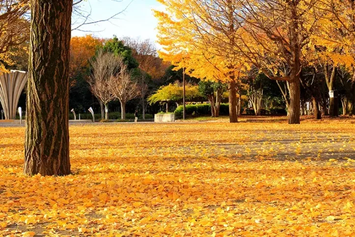 아카쓰카 공원 여행 추천 - 메고지고