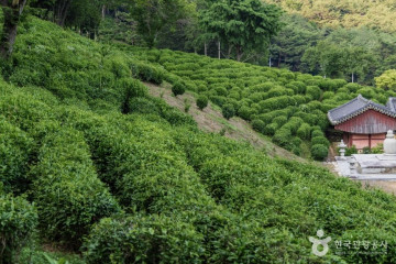 봉명산시립공원 여행 추천 - 메고지고