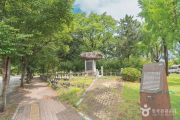 영영축성비 여행 추천 - 메고지고