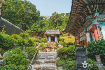 헌인릉 생태경관보전지역(오리나무림) 여행 추천 - 메고지고