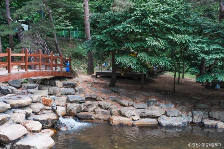 오도산자연휴양림 여행 추천 - 메고지고