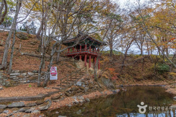 고원화목원 여행 추천 - 메고지고