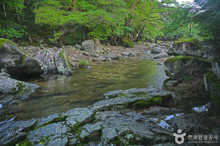 남창계곡 여행 추천 - 메고지고