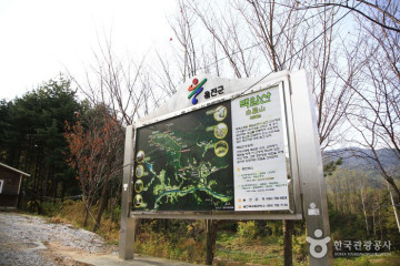울진 백암온천마을 여행 추천 - 메고지고