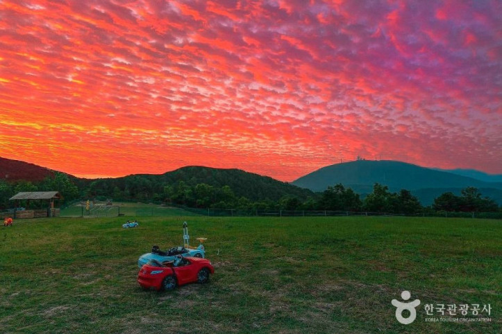 울산양떼목장 여행 추천 - 메고지고