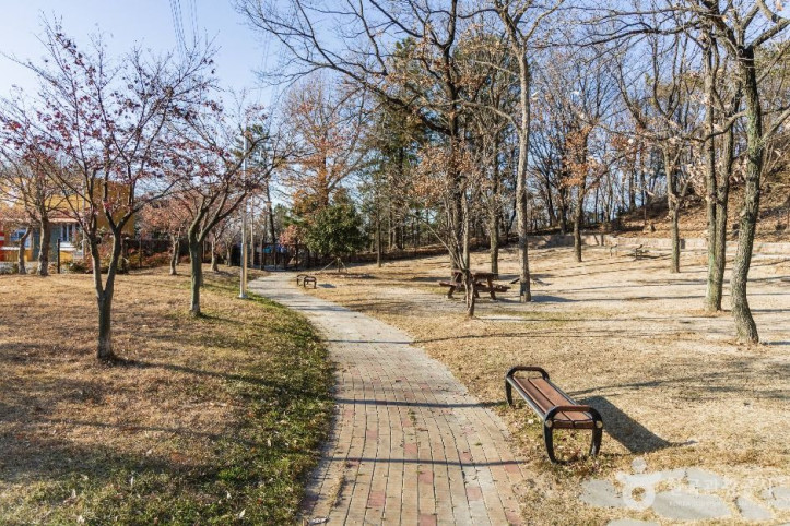 포항댕댕동산 여행 추천 - 메고지고