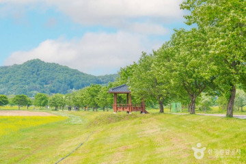 여주 이포나루 여행 추천 - 메고지고