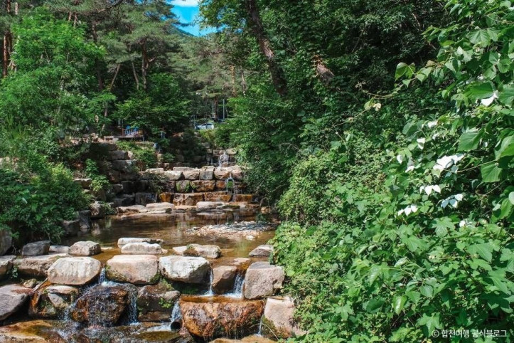 오도산자연휴양림 여행 추천 - 메고지고
