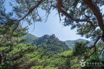 금란정 여행 추천 - 메고지고