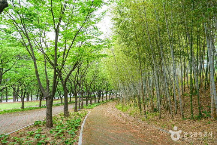 울산체육공원 여행 추천 - 메고지고