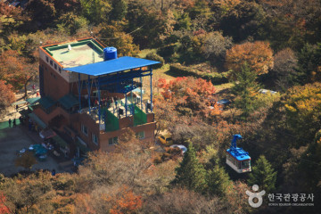 우화정(내장산) 여행 추천 - 메고지고
