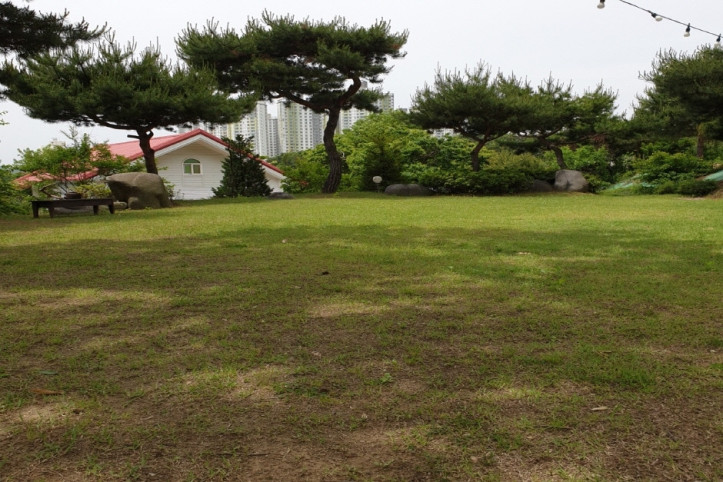 누리마루숲 여행 추천 - 메고지고