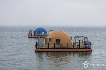 별주부전테마파크 여행 추천 - 메고지고