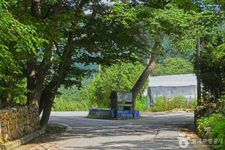 소백산 가리점마을(마조리마을) 여행 추천 - 메고지고