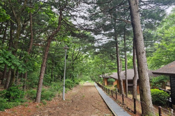 피크닉댕댕 여행 추천 - 메고지고